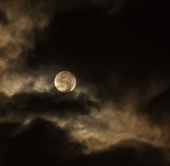 night