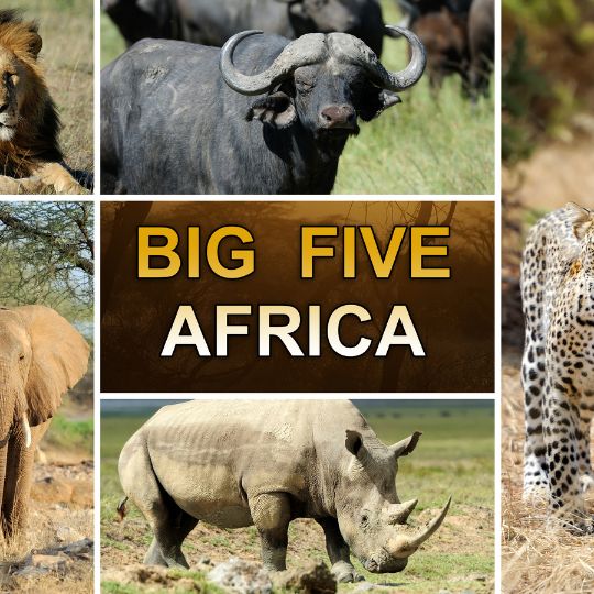 big five