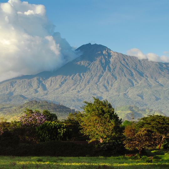 meru national park