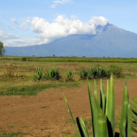 meru national park