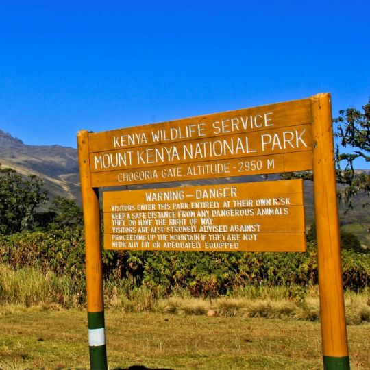 mount kenya national park