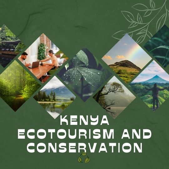 kenya ecotourism and conservation