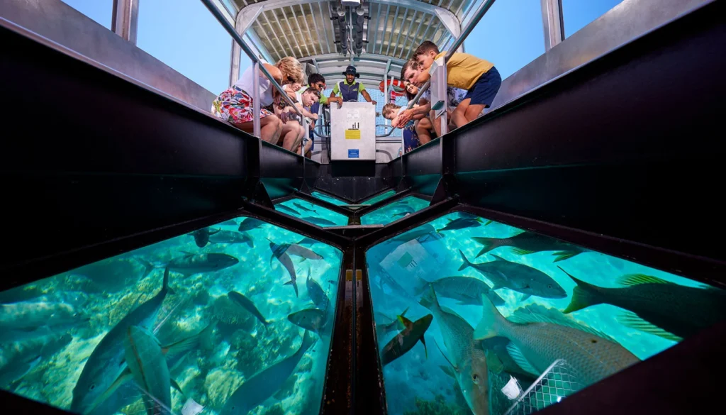 glass bottom boat